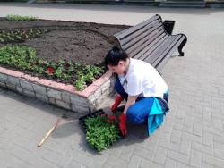 Благоустройство и озеленение Кирсанова продолжается