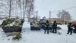 В Тамбовской области подвели итоги экологической акции «Елки, палки и щепа»