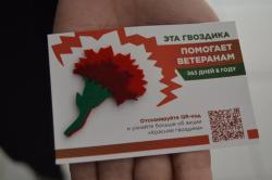 В городе Кирсанове стартовала Всероссийская акция «Красная гвоздика»