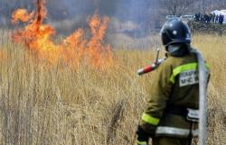 В Тамбовской области установлен особый противопожарный режим
