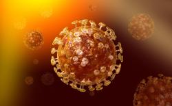 В Тамбовской области введены новые меры по снижению рисков распространения коронавирусной инфекции