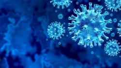 Ситуация по коронавирусной инфекции в Кирсанове под особым контролем