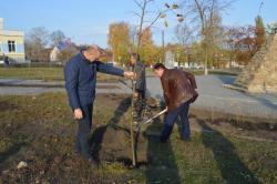 В Кирсанове в честь празднования 300-летия образования прокуратуры России сотрудники ведомства посадили деревья