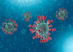 Что поможет предотвратить распространение коронавируса?