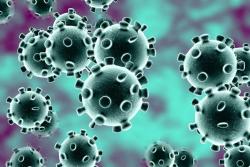 В ограничительные меры по коронавирусу внесены изменения