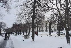 Какие законы вступают в силу с 1 марта