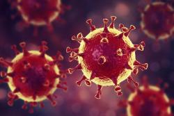 О важности вакцинации против коронавирусной инфекции