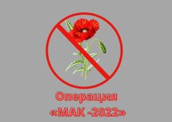 Стартовала операция «Мак-2022»!