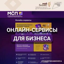 Более 1,5 тысяч предпринимателей Тамбовской области зарегистрировались на цифровой платформе МСП