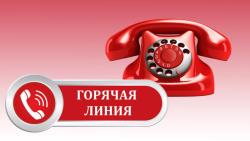 В Управлении Роспотребнадзора по Тамбовской области будут работать телефоны «горячей линии»