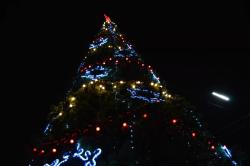 На главной городской ёлке  в Кирсанове зажглись праздничные огни