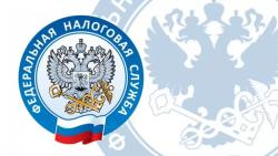 Декларационная кампания 2024