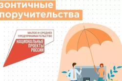 Более 312 млрд рублей привлек в 2023 году малый и средний бизнес под «зонтичные» поручительства