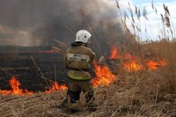 В Тамбовской области установили высокий уровень пожарной опасности
