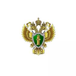 Защита прав при проведении контрольных (надзорных) мероприятий