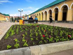 В Кирсанове высадили однолетние цветы