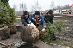 В Кирсанове завершаются работы по благоустройству прибрежной территории реки Пурсовка