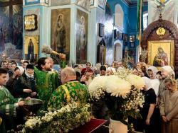 Кирсановцы встретили Вербное воскресенье