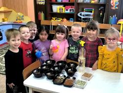 В детском саду «Ромашка» стартовала реализация образовательного проекта «Огород на подоконнике»