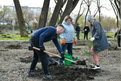 На территории «Семейного парка» проведены работы по дополнительному озеленению